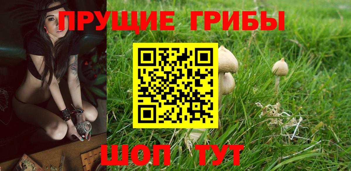 Псилоцибиновые грибы MAGIC MUSHROOMS Янаул