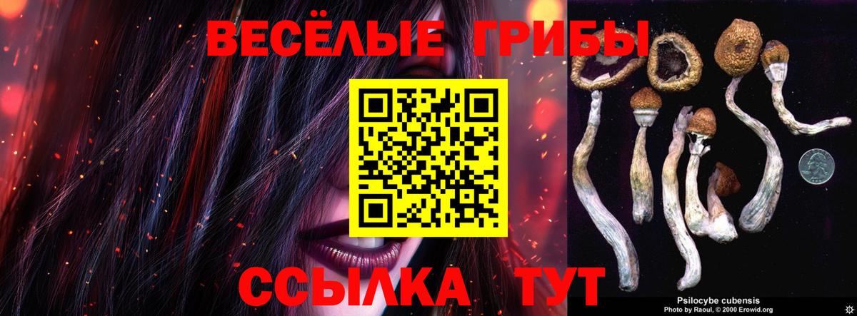 Псилоцибиновые грибы Psilocybe  Вход с VPN  Галлюциногенные грибы ЛСД  Янаул 
